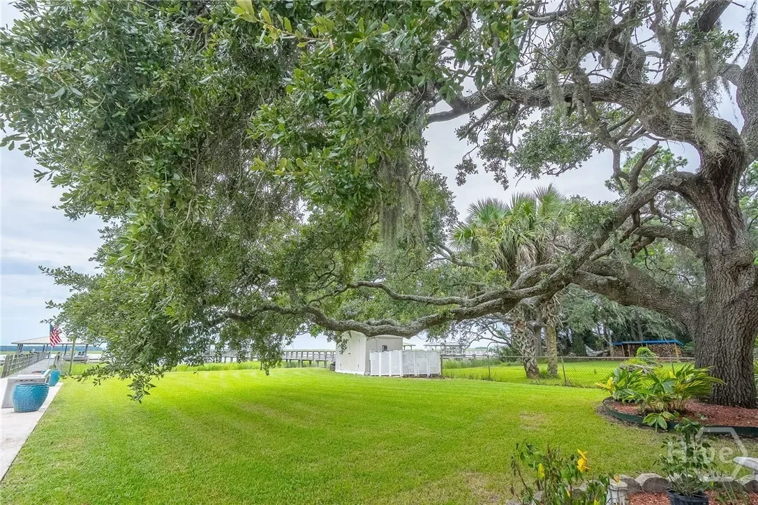 348 Island Road Road, Savannah, Georgia, United States. - Photo 9