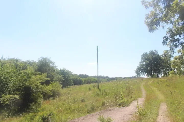 3176 S 170th Road, Polk, MO 65727, Bolivar, Missouri, United States. - Photo 10