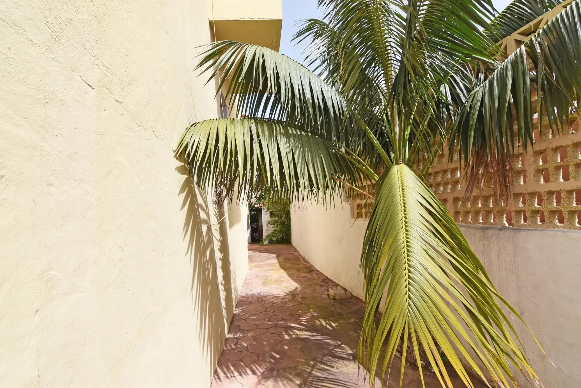 Exterior photo 12