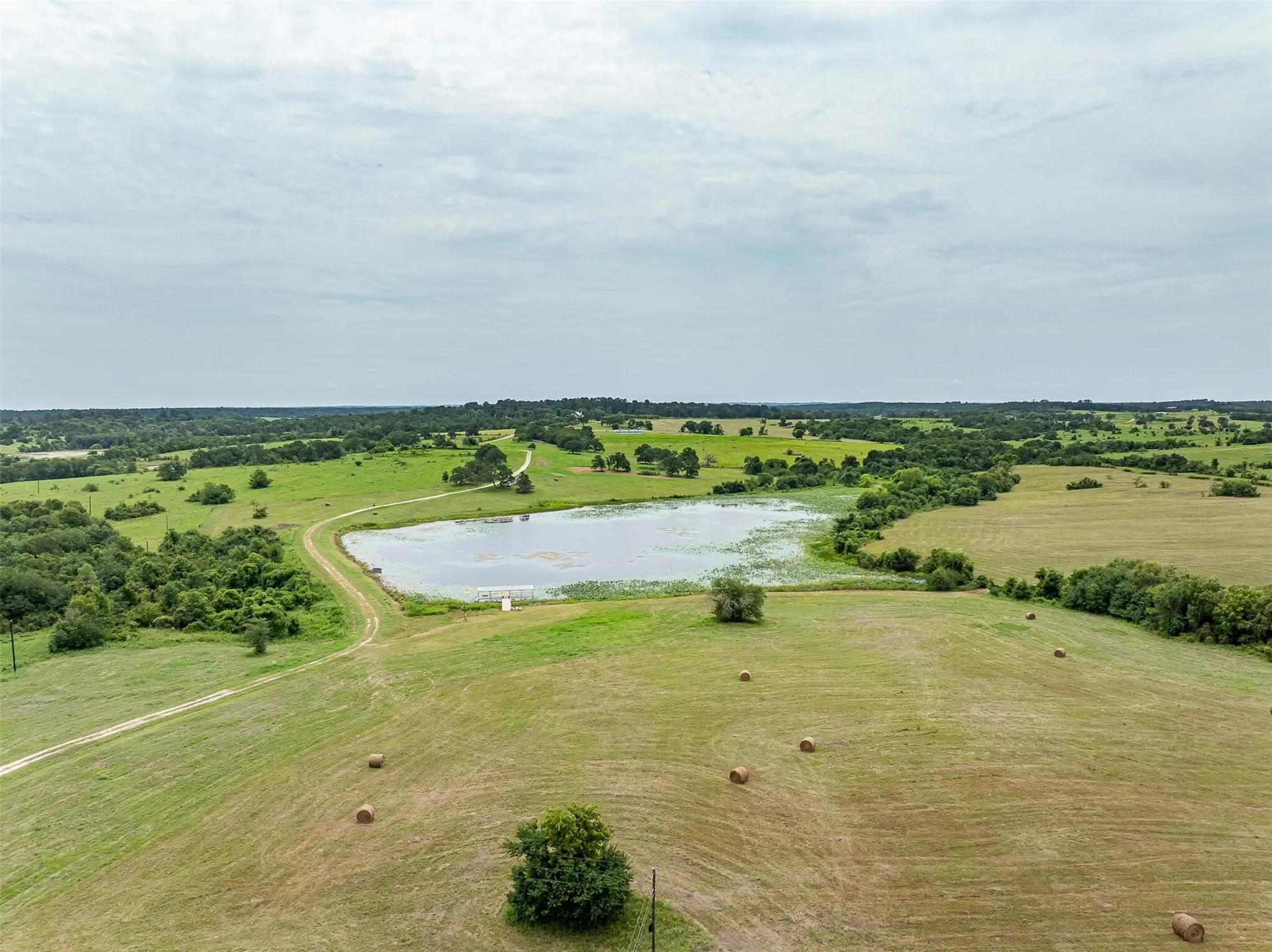 5107 Bovista Ranch Road, Navasota, TX 77868, Navasota, Texas, United States. - Photo 44
