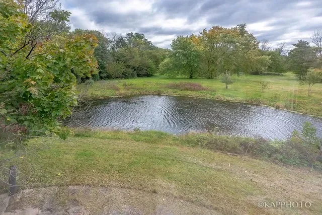 24436 West Woodridge Way, Joliet, IL 60404, Joliet, Illinois, United States. - Photo 29