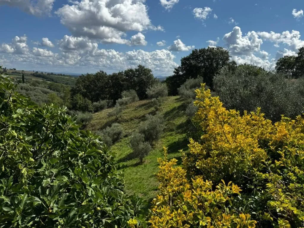 Via delle Fonti, 58014 Manciano, Italia, Manciano, Tuscany, Italy. - Photo 38
