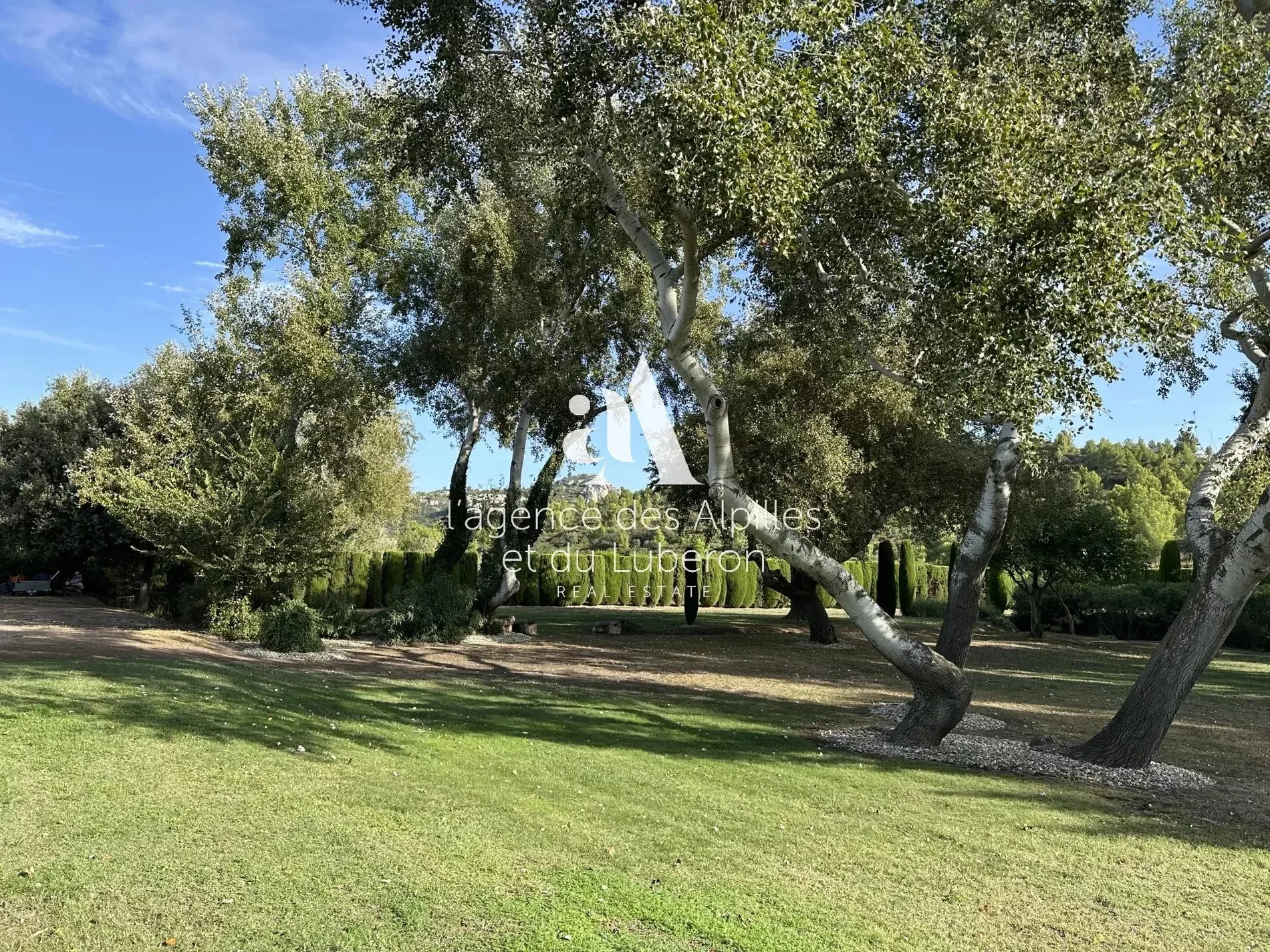 Exterior photo 6