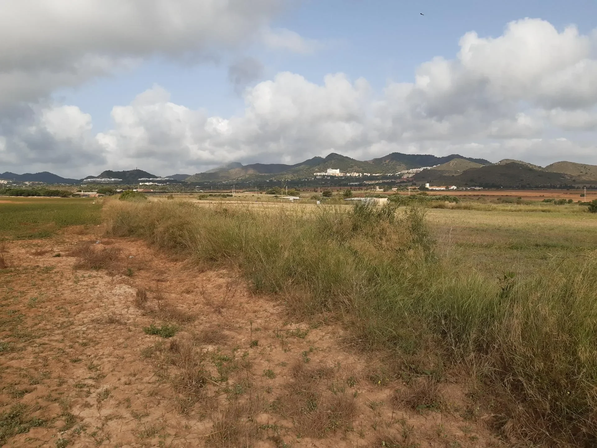 Large Plot To Build Your Dream Home!