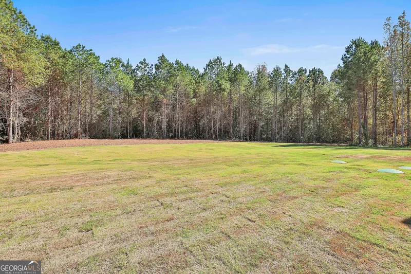 Newnan, Georgia, United States. - Photo 52