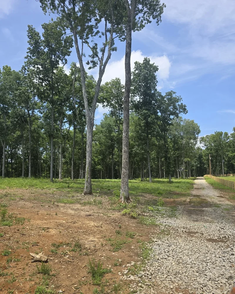4821 Kedron Rd, Spring Hill, Tennessee, United States. - Photo 61