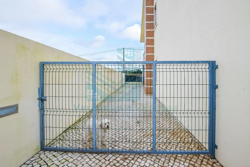 Pedrógão, Santarém, Pedrogao, Santarem District, Portugal. - Photo 24