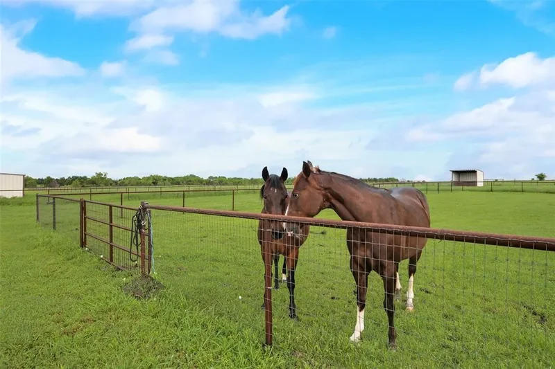 9757 Neal Road, Forney, TX 75126, Forney, Texas, United States. - Photo 33