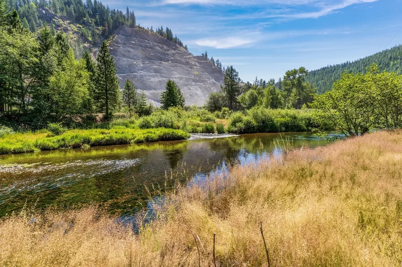 NKA Coeur d'Alene River Rd, Kingston, ID 83839, 83839, Idaho, United States. - Photo 26