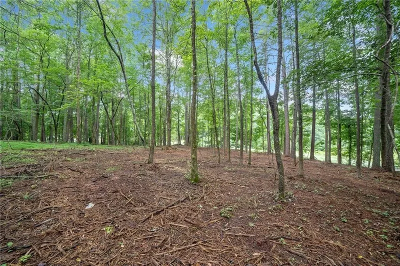 225 Brock Trail, Milton, United States. - Photo 3