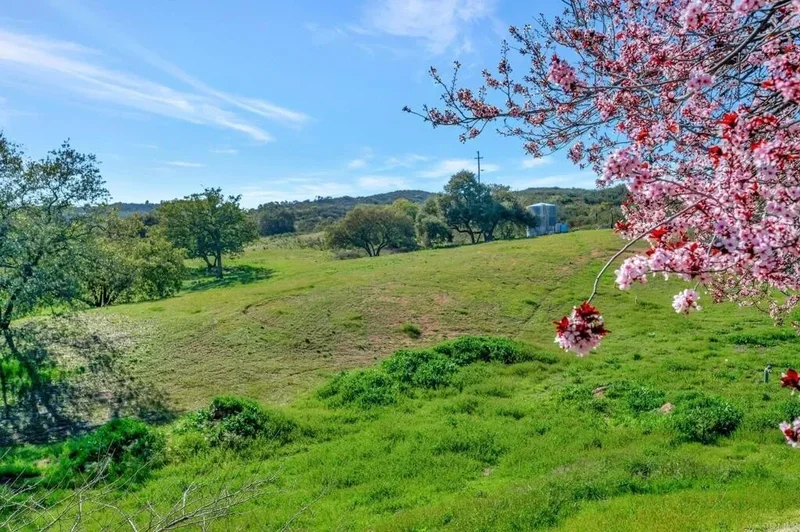 2340 Mount Elena Way, Jamul, CA 91935, Jamul, California, United States. - Photo 18