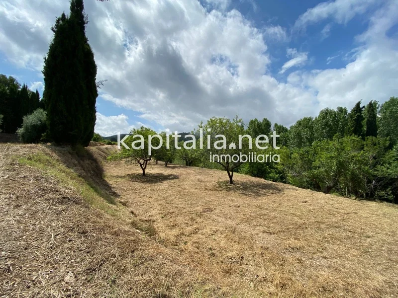 Albaida, Albaida, VALENCIA, Albaida, Albaida, Valencian Community, Spain. - Photo 33
