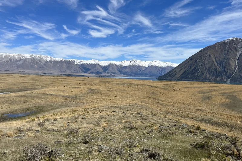 Ohau Downs Station  Lake Ohau, Ohau, OTA, Lake Ōhau, Canterbury, New Zealand. - Photo 8