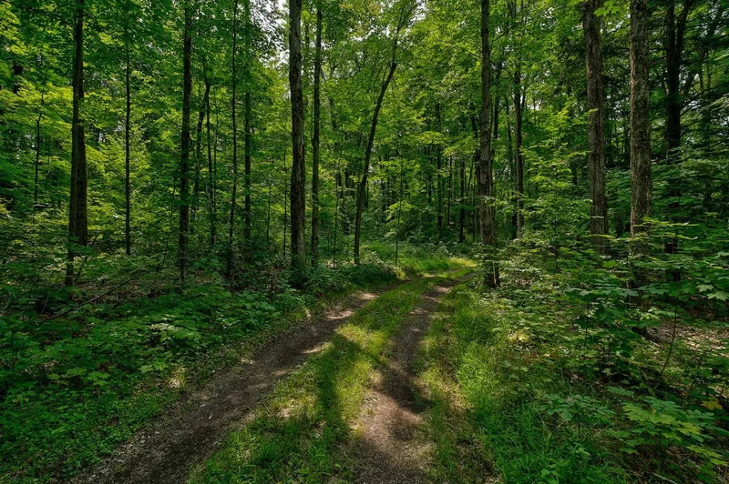 2122 Ch. Gore, Godmanchester, Quebec, Canada. - Photo 49