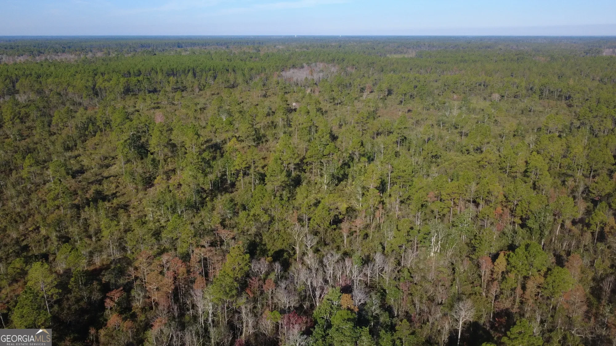 0 Fargo Highway, Homerville, GA 31634, Homerville, Georgia, United States. - Photo 7