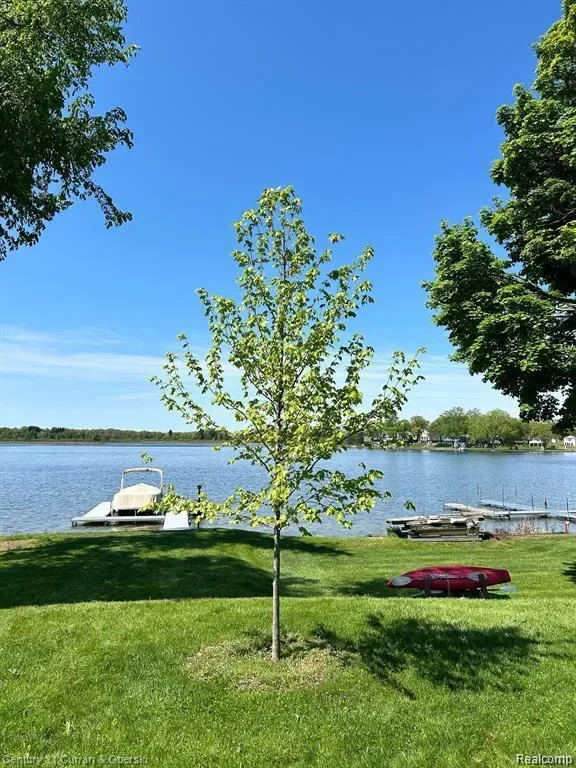222 Ackerson Lake Drive, Jackson, MI 49201, Leoni, Michigan, United States. - Photo 32