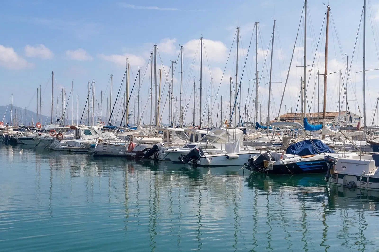 LLENAIRE, Port De Pollença, Baleares, Port De Pollença, Pollenca, Balearic Islands, Spain. - Photo 12