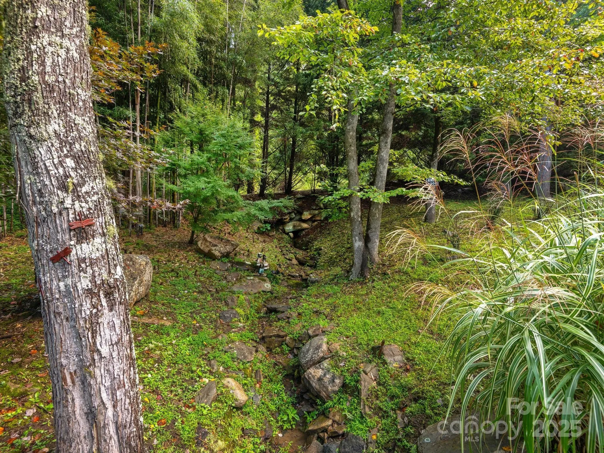 420 Chimney Rock Drive, Weaverville, NC 28787, Weaverville, North Carolina, United States. - Photo 31