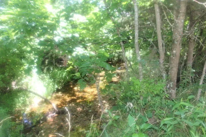 3176 S 170th Road, Polk, MO 65727, Bolivar, Missouri, United States. - Photo 64