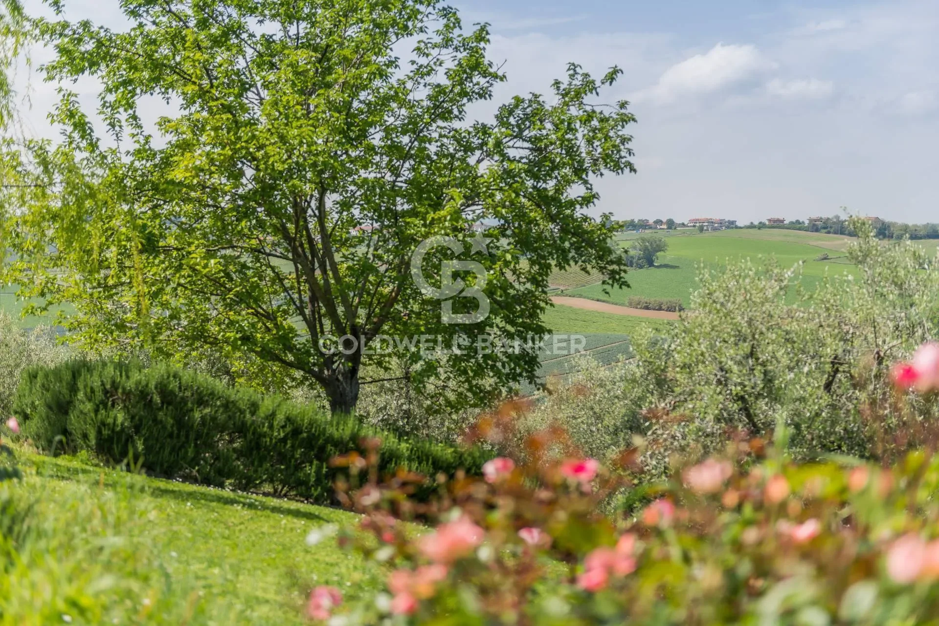 via giardino 26, Castelleale, Emilia-Romagna, Italy. - Photo 16
