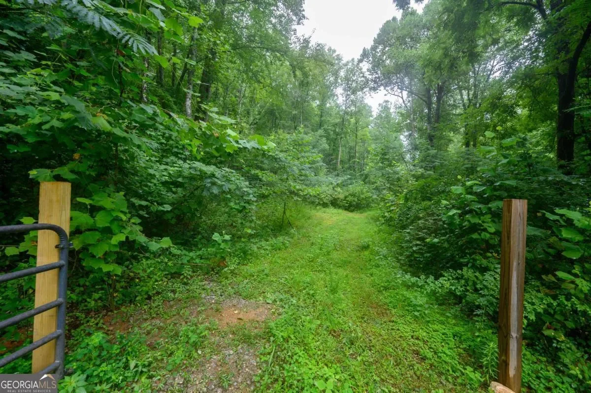 11094 Old 441 S, Lakemont, Georgia, United States. - Photo 5