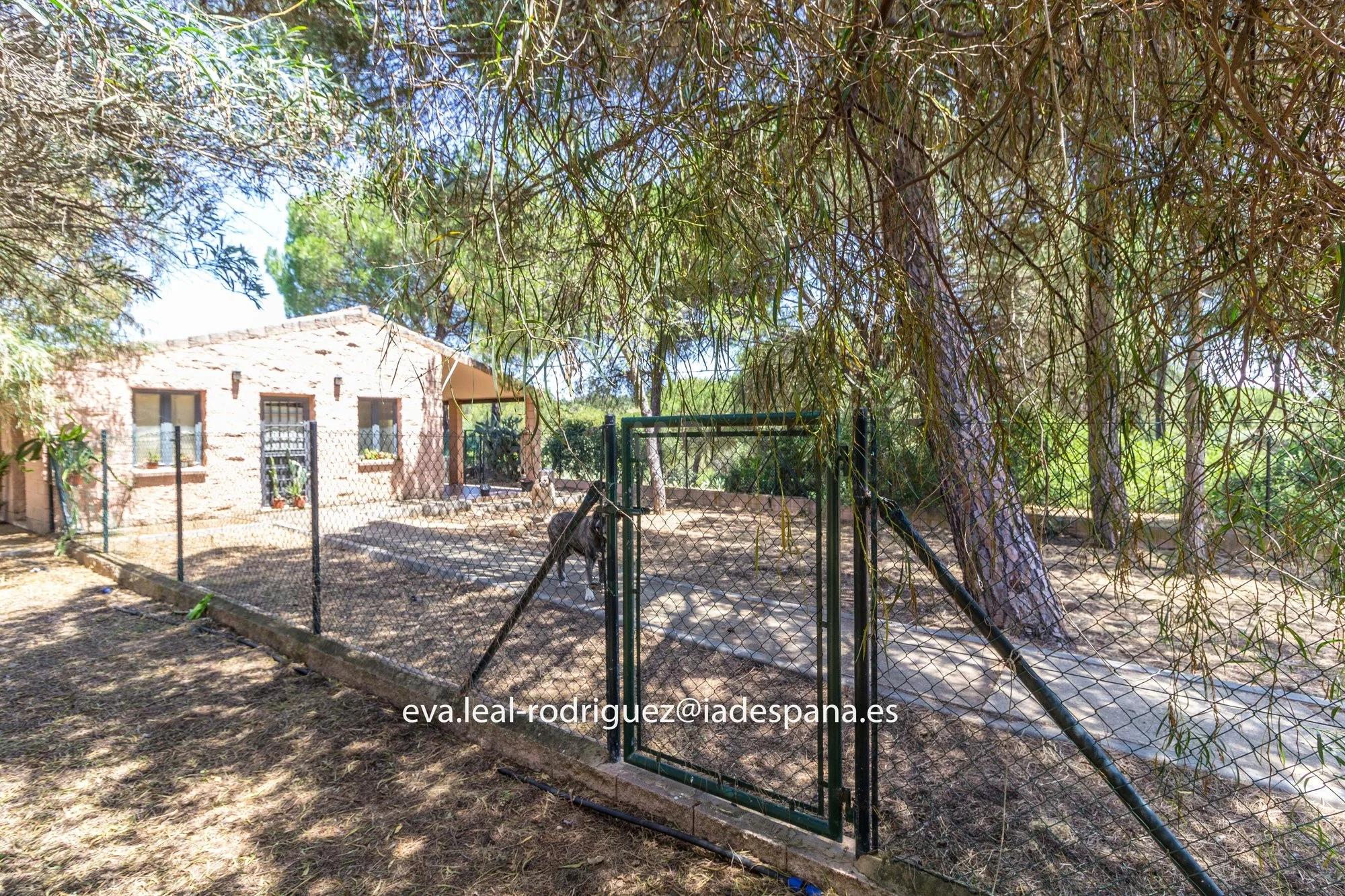 Property photo 7