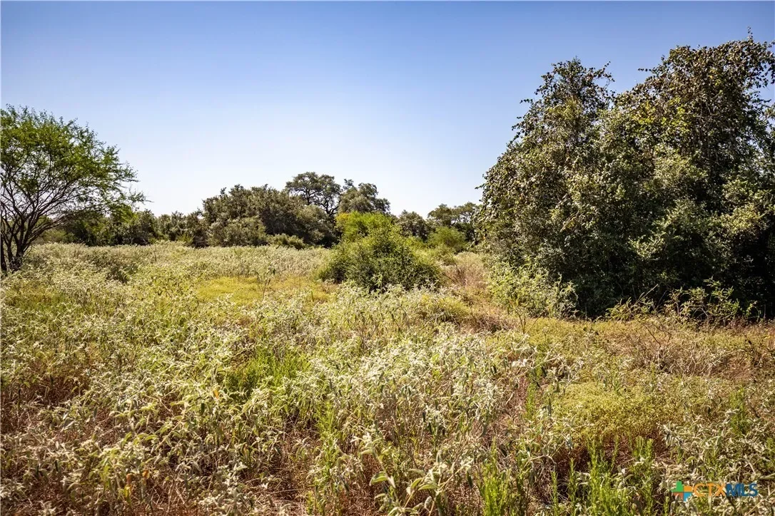 000 Stratton Road, Yoakum, TX 77995, Yoakum, Texas, United States. - Photo 39