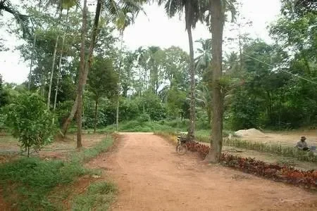 Phang Nga,, Bang Muang, Phang-nga, Thailand. - Photo 1
