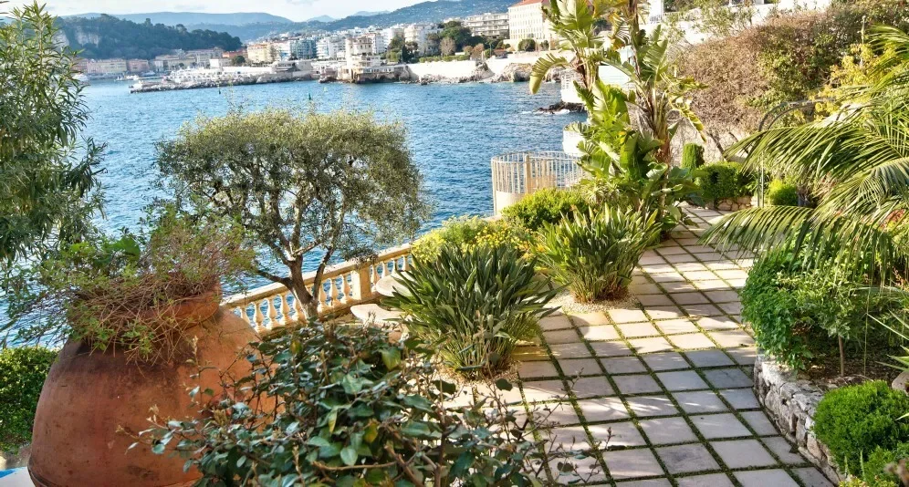 Nice, Provence-Alpes-Côte d'Azur, France. - Photo 14