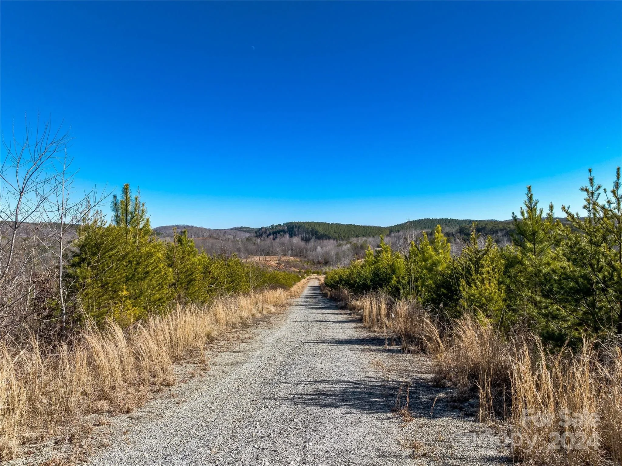 99999 Sunnyview Drive, Rutherfordton, NC 28756, Rutherfordton, North Carolina, United States. - Photo 15