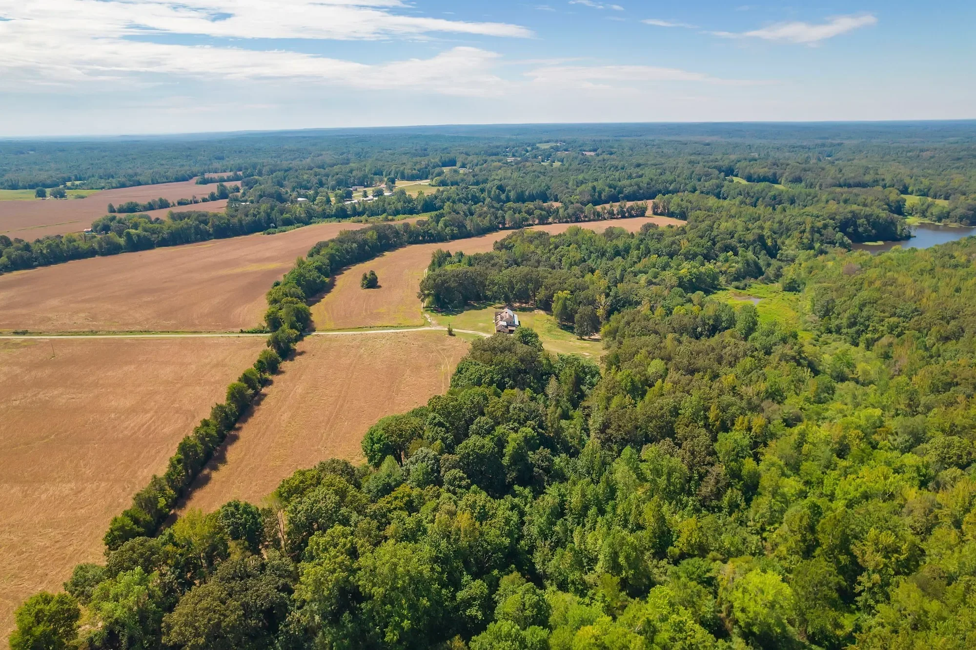 290 Leeford Ln , Cedar Grove, TN 38321, Cedar Grove, Tennessee, United States. - Photo 6