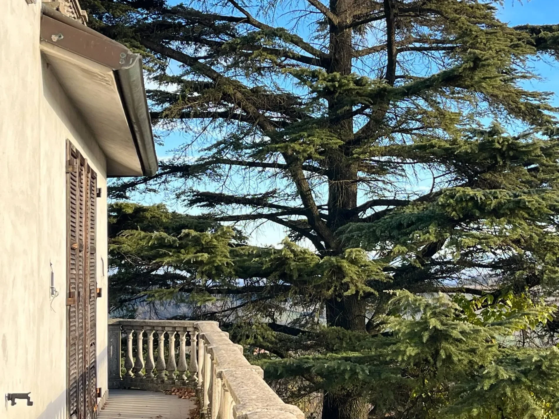 Gallery photo 4