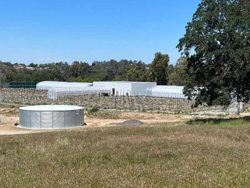 11176 S Camanche Parkway, Wallace, California, United States. - Photo 8