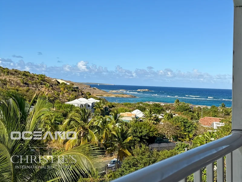 Quarter of Orleans, Collectivity of Saint Martin, Saint Martin. - Photo 25