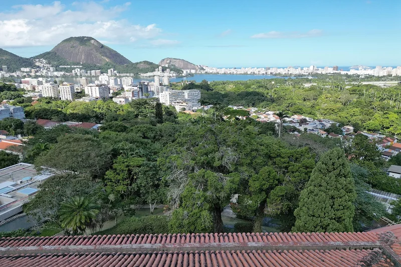 Rua Ingles de Sousa Jardim Botânico, Rio de Janeiro, RJ 22460-110, Rio de Janeiro, State of Rio de Janeiro, Brazil. - Photo 5