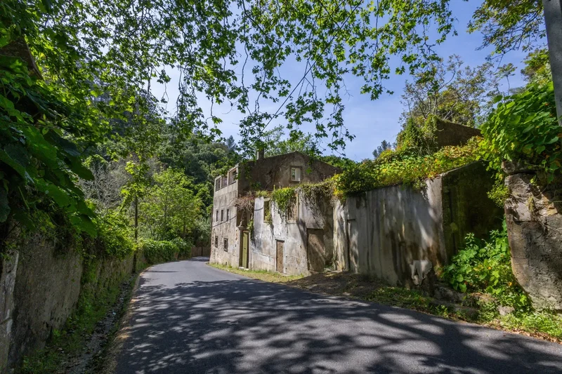 Small Farm For Sale