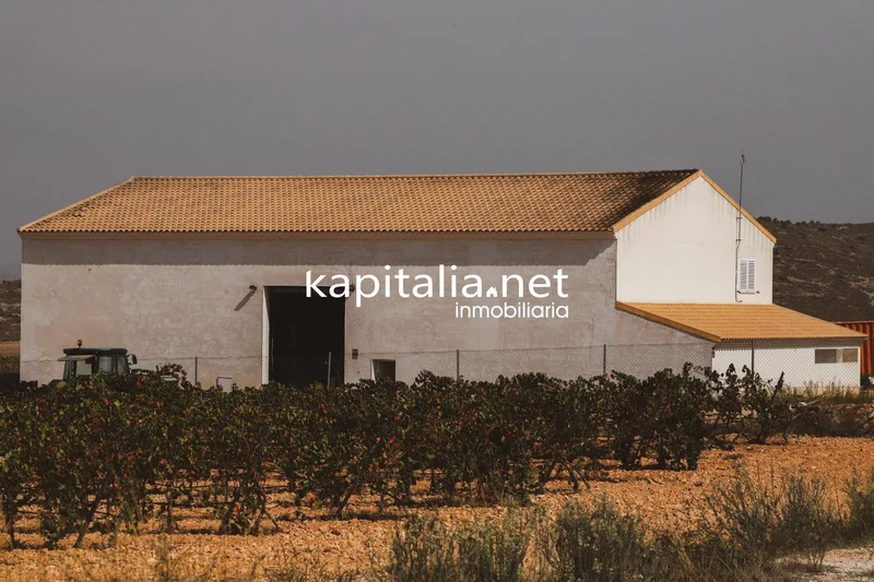 Yecla, Yecla, MURCIA, Yecla, Yecla, Region of Murcia, Spain. - Photo 5
