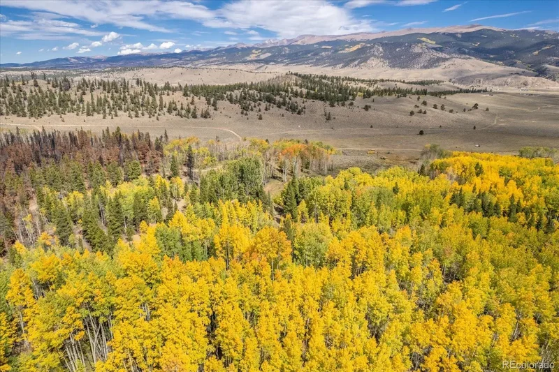 0000 Tbd County Road 28a, Twin Lakes, CO 81251, Twin Lakes, Colorado, United States. - Photo 5