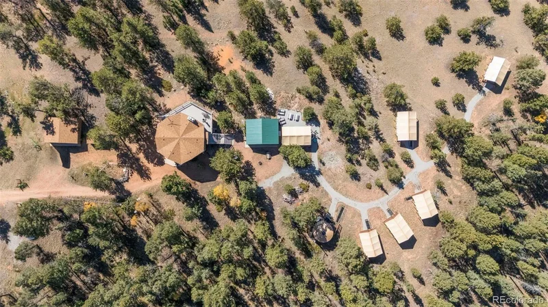 247 Pinewood Road, Florissant, Colorado, United States. - Photo 8
