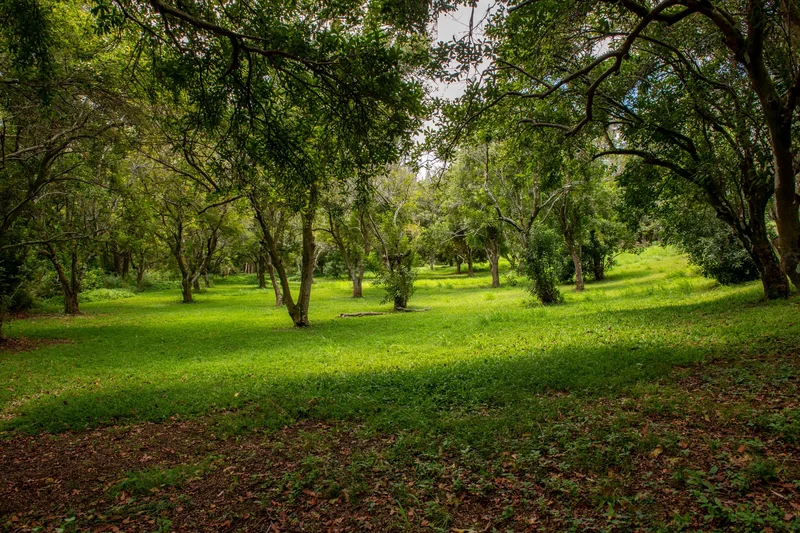 53-4223 Pratt Rd , Kapaau, HI 96755, Waimea, Hawaii, United States. - Photo 25