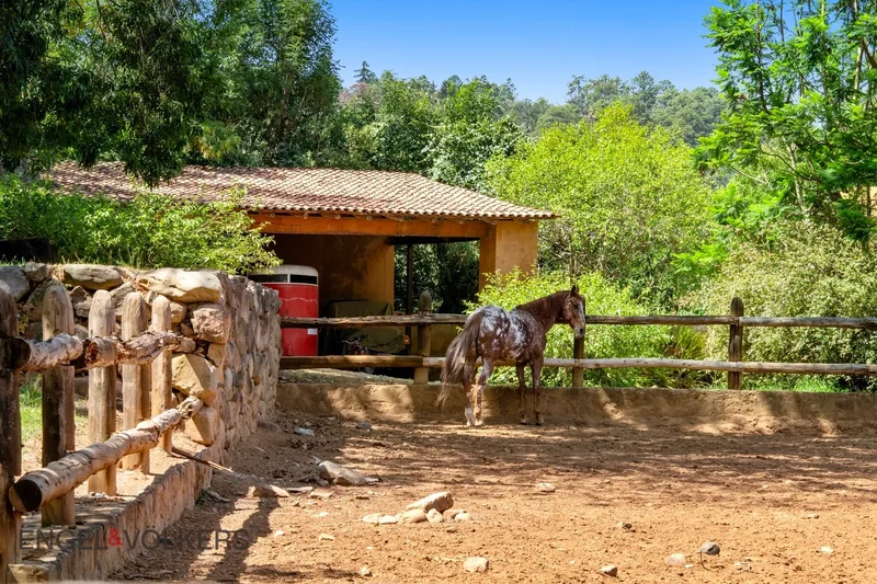 51045 Villa Donato Guerra, Méx., México, San Agustín de las Palmas, State of Mexico, Mexico. - Photo 17