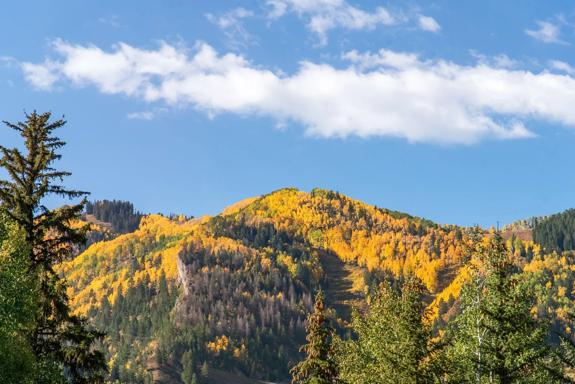 931 Gibson Avenue, Aspen, CO 81611, Aspen, Colorado, United States. - Photo 52