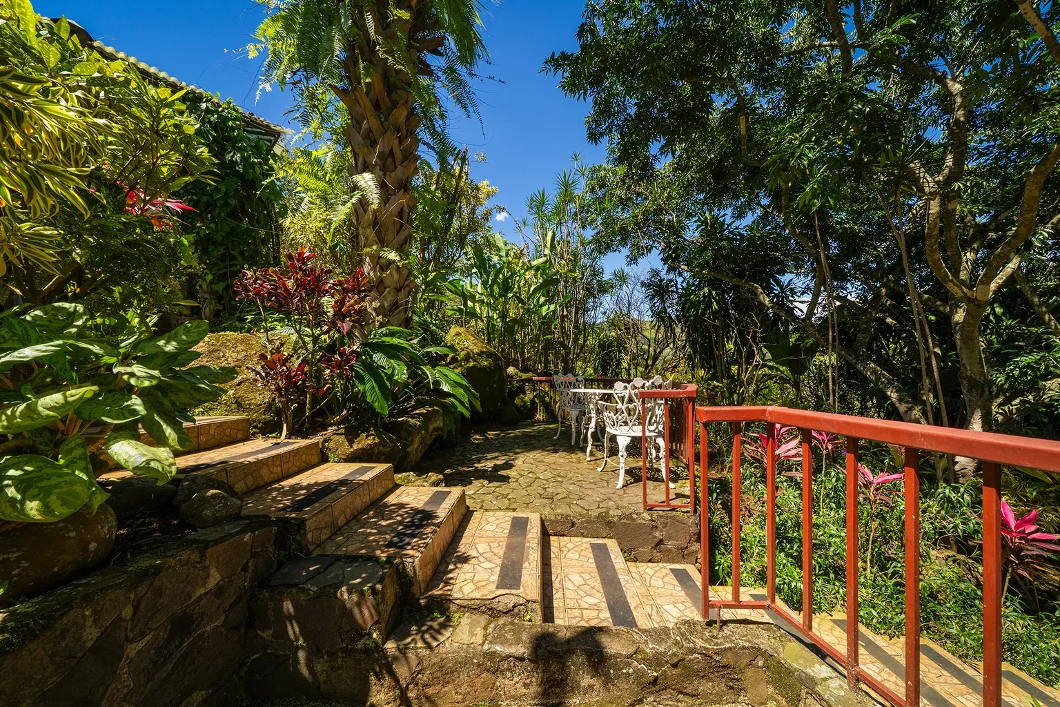 Alajuela Province, Atenas, Costa Rica, Atenas, Alajuela Province, Costa Rica. - Photo 72