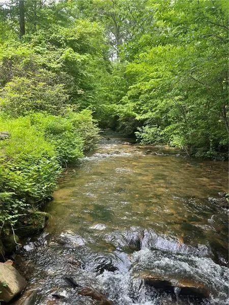 Clarkesville, Georgia, United States. - Photo 12
