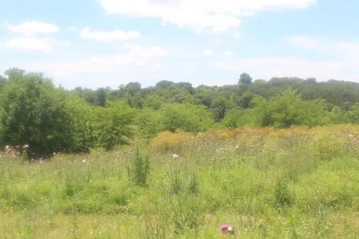3176 S 170th Road, Polk, MO 65727, Bolivar, Missouri, United States. - Photo 20
