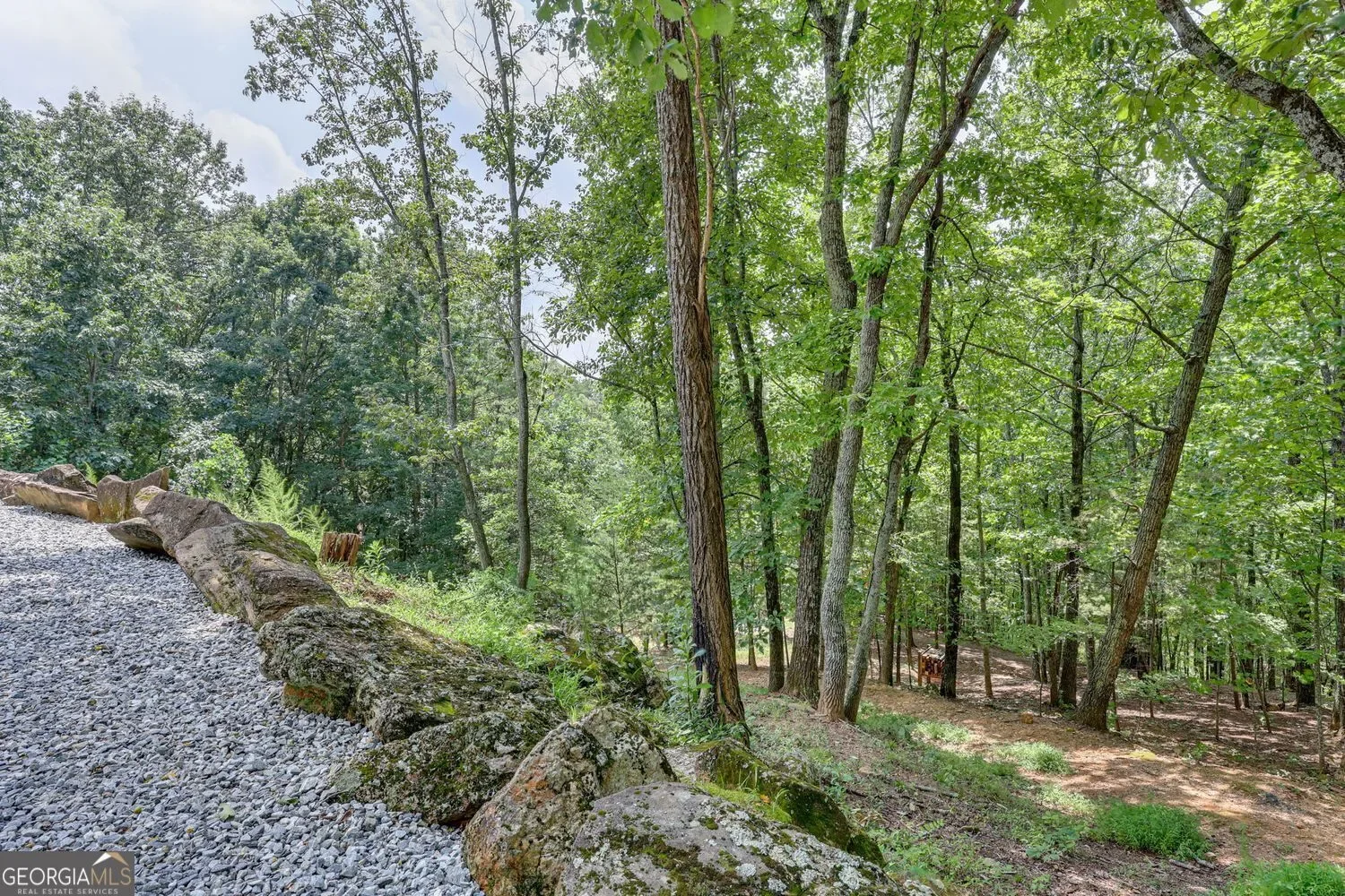 Cleveland, Georgia, United States. - Photo 14