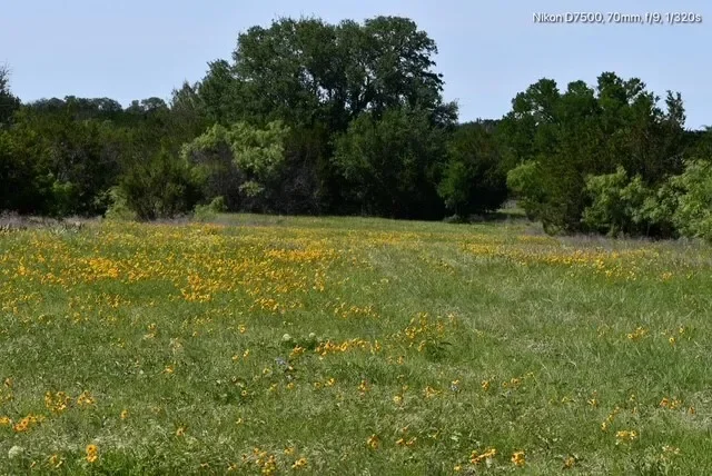 TBD CR 382, Carlton, TX 76436, Dublin, Texas, United States. - Photo 19