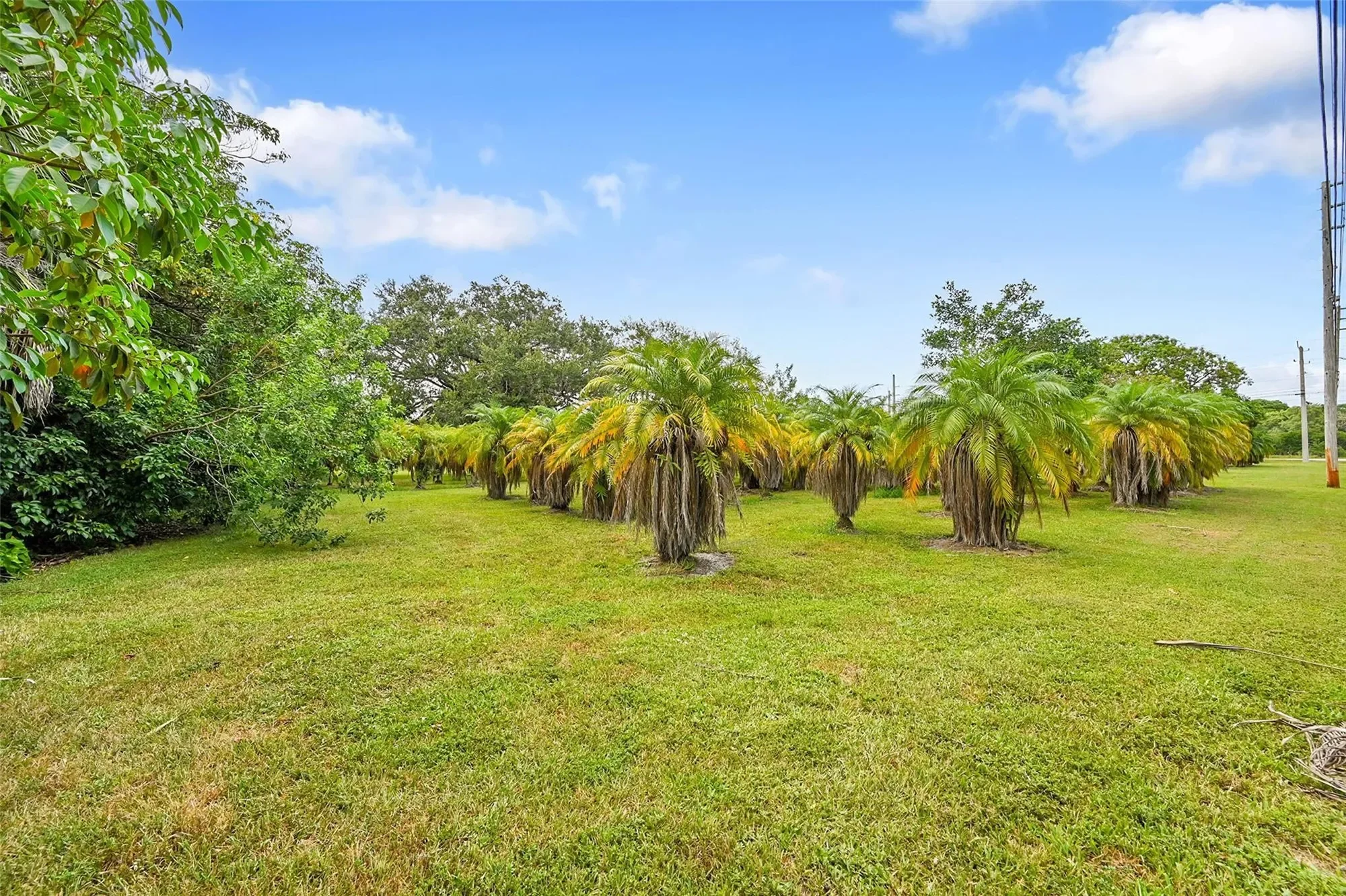 1201 N Old Hiatus Rd, Plantation, Florida, United States. - Photo 42