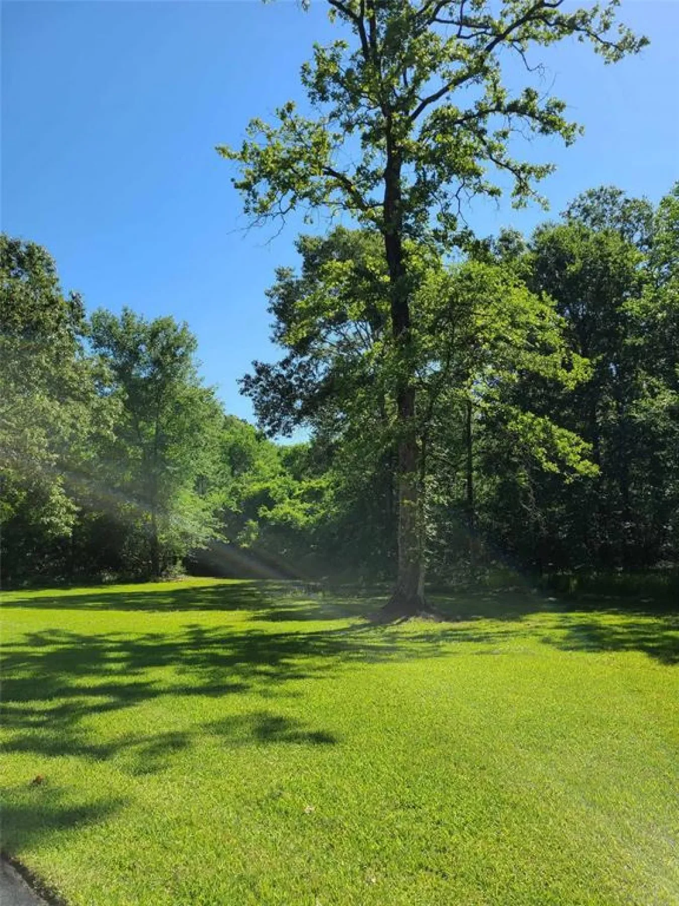 411 Springwood Drive, Conroe, Texas, United States. - Photo 4
