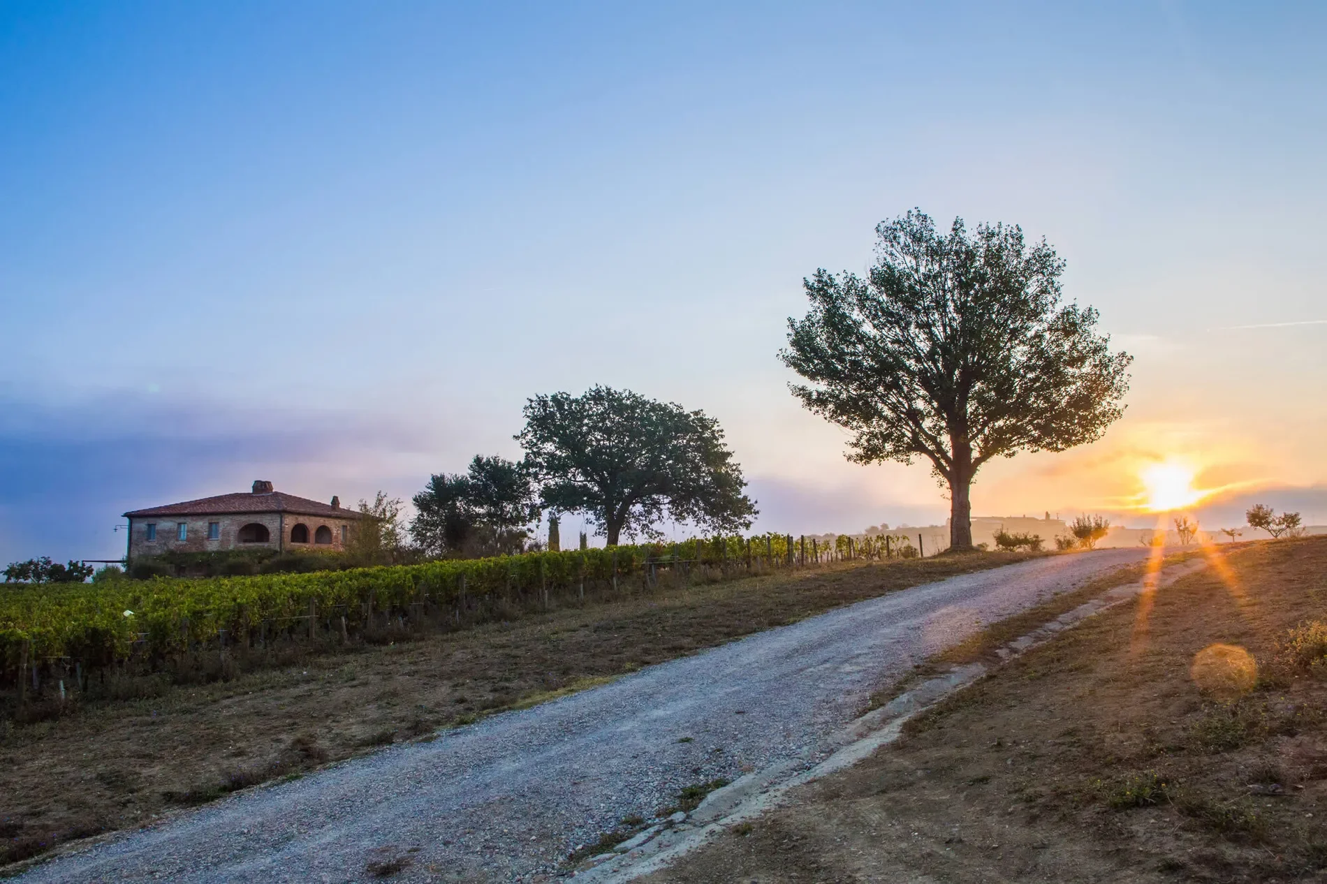 53024 Montalcino, Province of Siena, Italy, Castelnuovo dell’Abate, Tuscany, Italy. - Photo 79